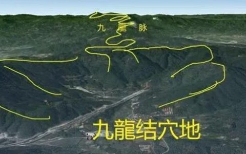 束身自好代表指是什么生肖，打一最佳准确生肖成语落实释义